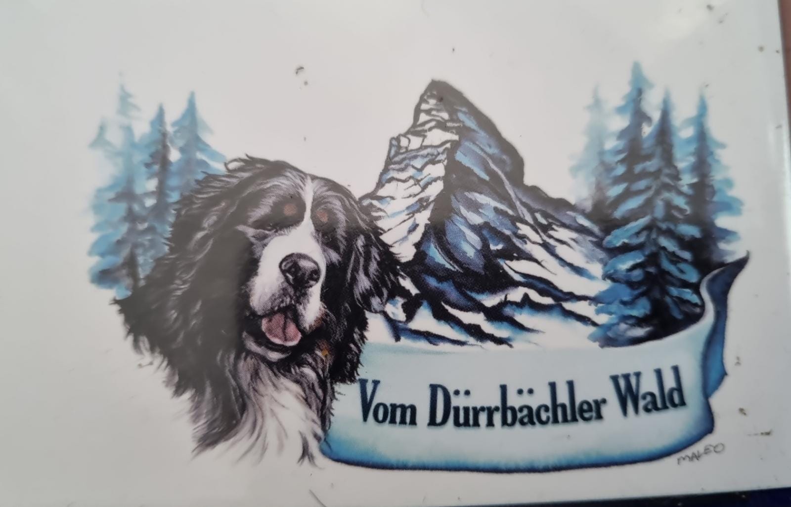 Vomdurrbachlerwald